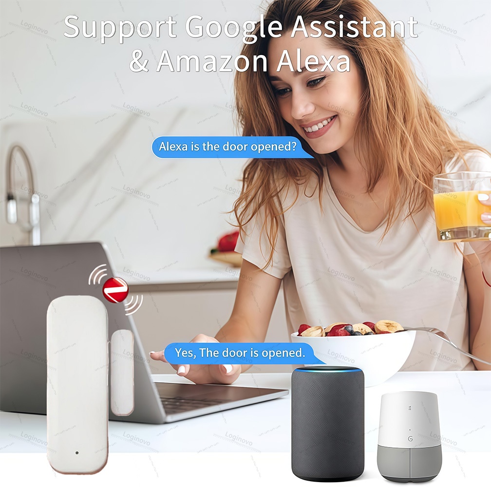 Tuya Zigbee Door Sensor Window - đánh giá và giá Home Security Technology