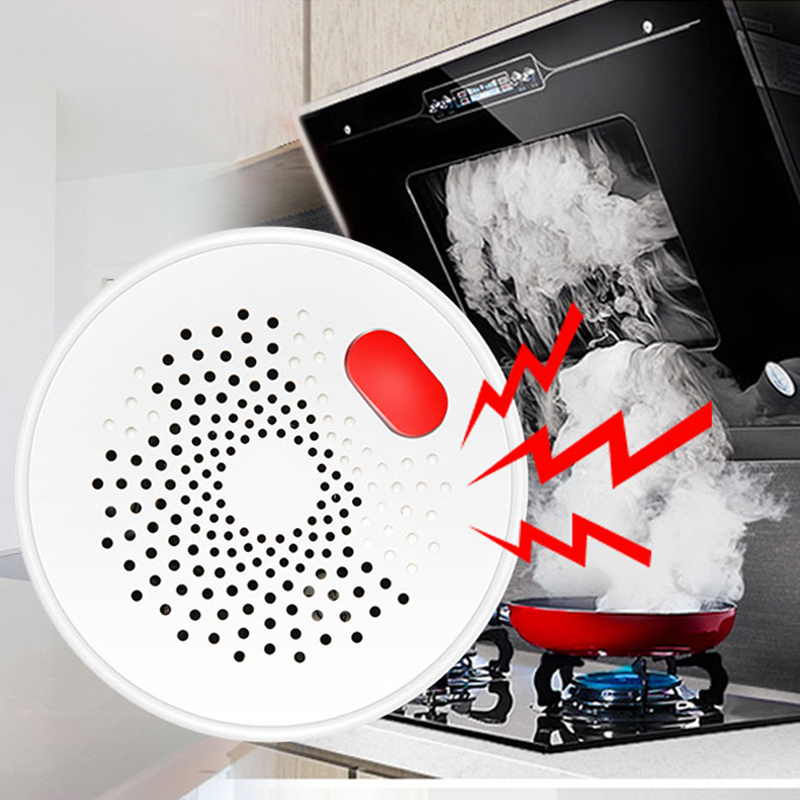 Tuya Smart Home Wifi Natural G - đánh giá và giá Home Security Technology