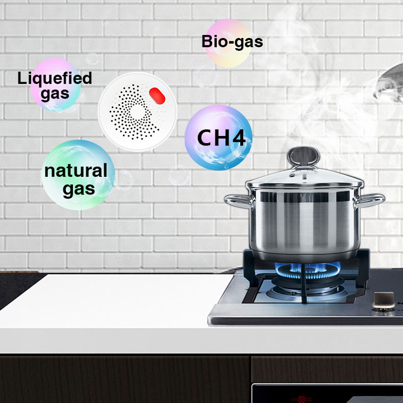 Tuya Smart Home Wifi Natural G - đánh giá và giá Home Security Technology