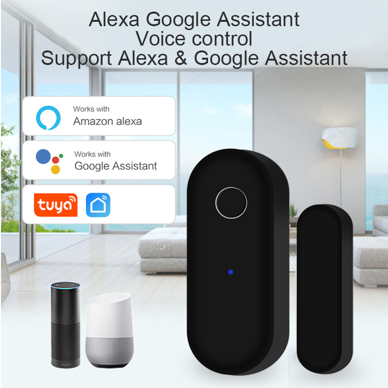Tuya WiFi Door Open Close Dete - đánh giá và giá Home Security Technology