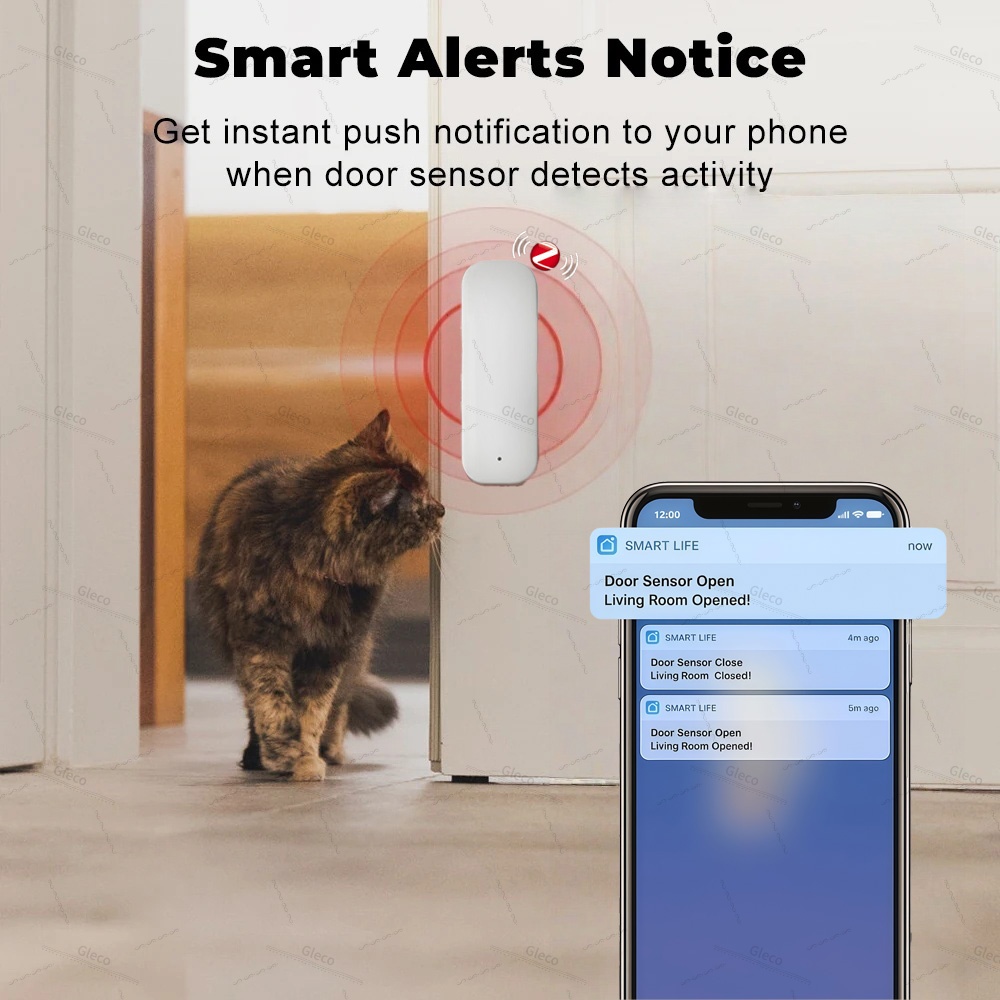 Tuya Zigbee Door Window Sensor - đánh giá và giá Home Security Technology